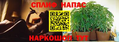 apvp Заволжье